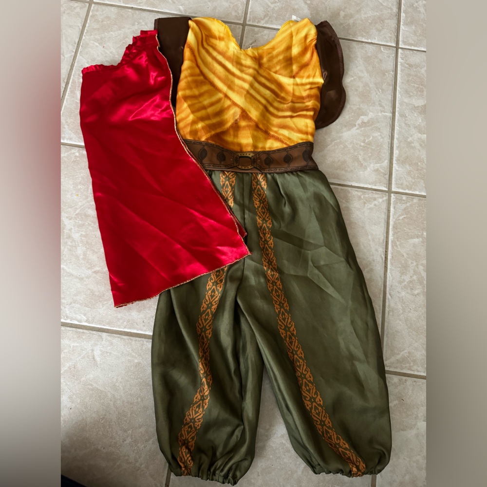 Disney Raya costume